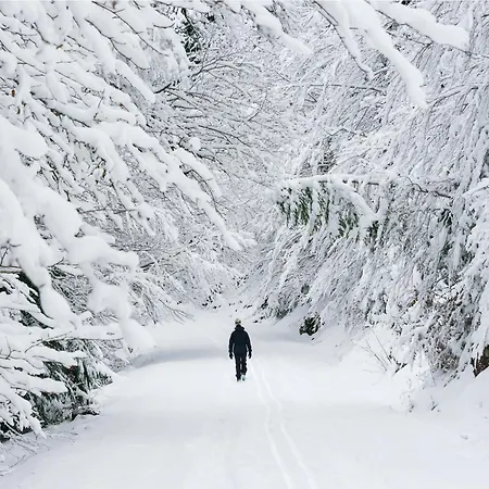 Apartamento Mirador De Sallent By Bevalle