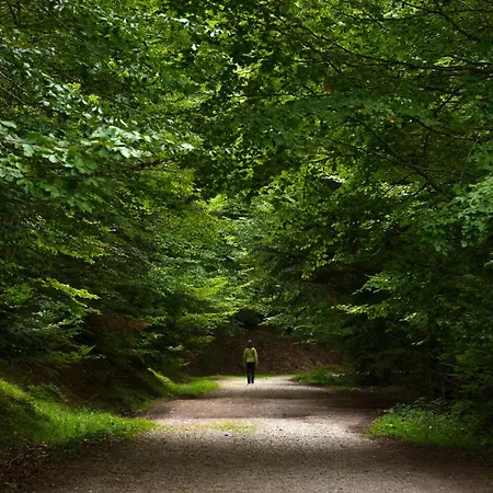 Apartamento Mirador De Sallent By Bevalle