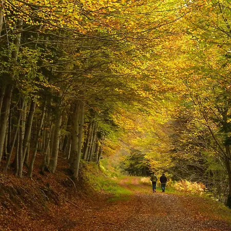 Apartamento Mirador De Sallent By Bevalle