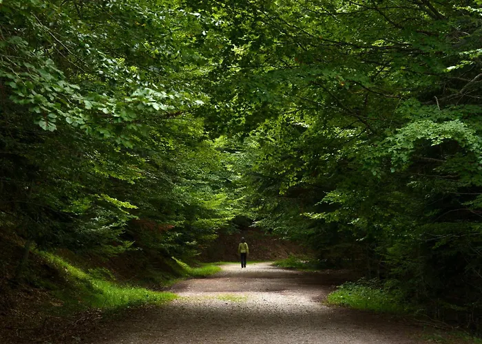 Apartamento Mirador De Sallent By Bevalle