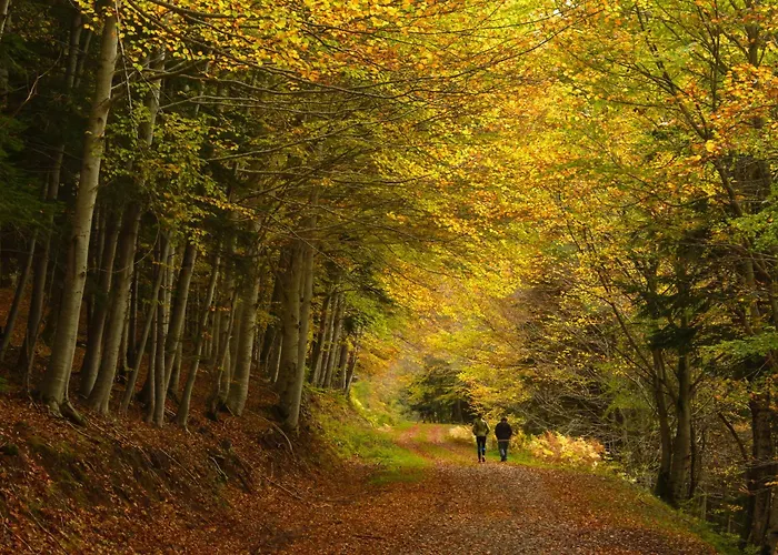 Apartamento Mirador De Sallent By Bevalle